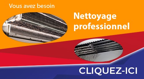 besoin du nettoyage professionnel?